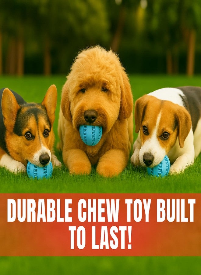 PRIMEWAVE Durable Rubber Ball Dog Toy – Chew-Resistant, Bouncy & Safe | 7cm Interactive Pet Play Ball for Medium & Small Dogs | Color Blue - Image 3